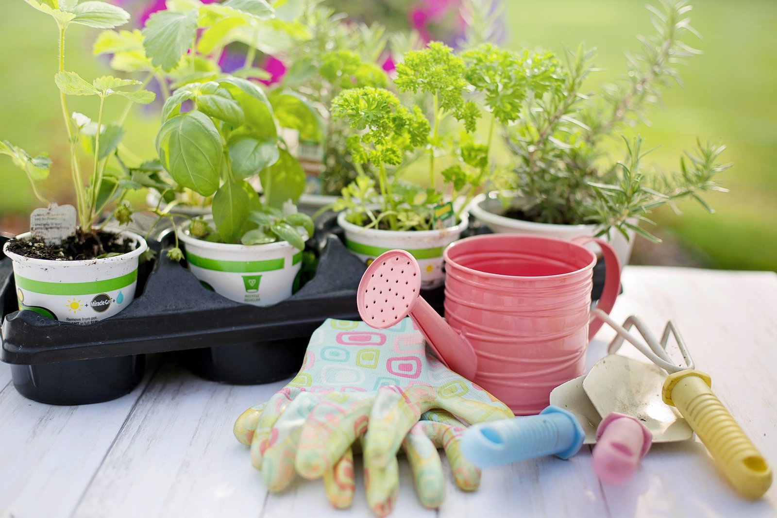 Read more about the article Garden Gear